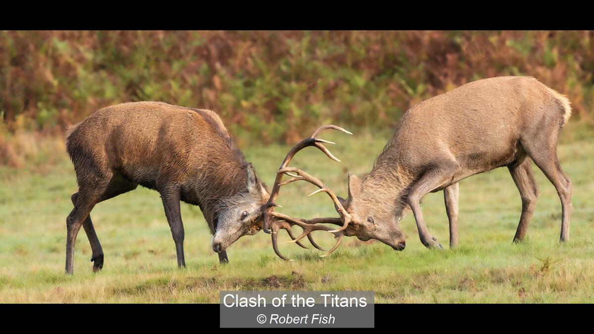 Clash of the Titans